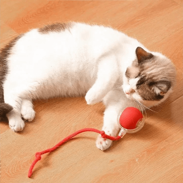 Bola Interativa para Pets - Ganhe 5% de desconto com o cupom PET5OFF