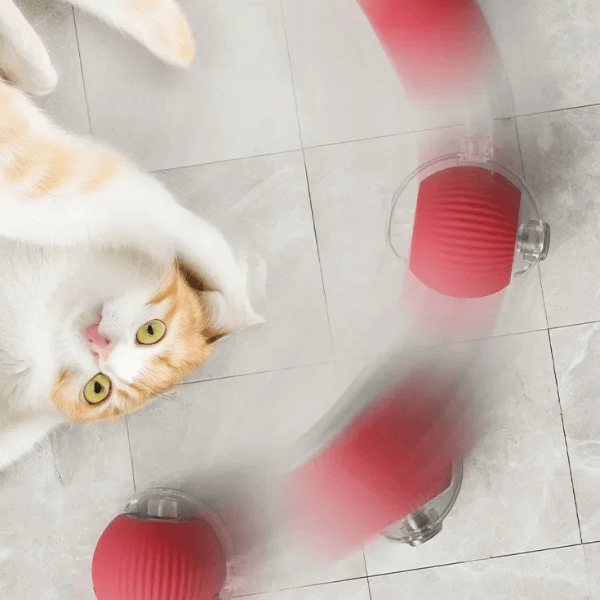 Bola Interativa para Pets - Ganhe 5% de desconto com o cupom PET5OFF