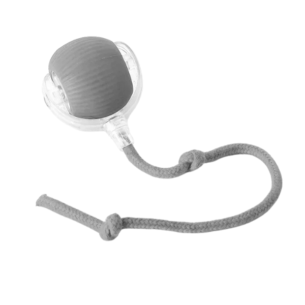 Bola Interativa para Pets - Ganhe 5% de desconto com o cupom PET5OFF