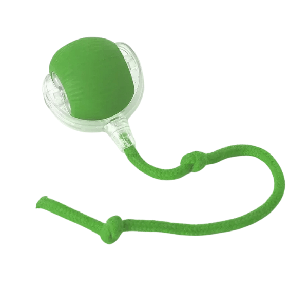 Bola Interativa para Pets - Ganhe 5% de desconto com o cupom PET5OFF
