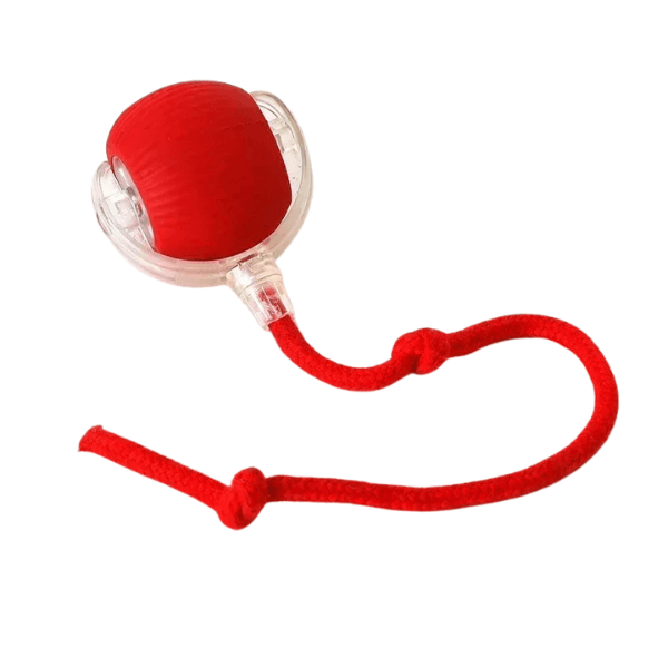 Bola Interativa para Pets - Ganhe 5% de desconto com o cupom PET5OFF