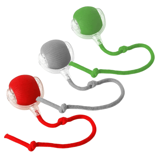 Bola Interativa para Pets - Ganhe 5% de desconto com o cupom PET5OFF